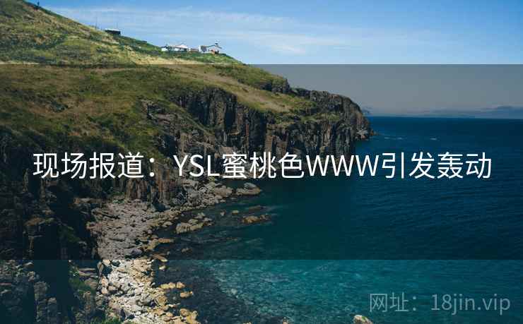现场报道：YSL蜜桃色WWW引发轰动