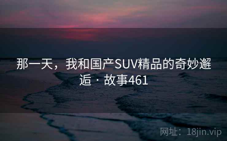 那一天,我和国产SUV精品的奇妙邂逅 · 故事461
