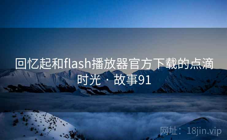 回忆起和flash播放器官方下载的点滴时光 · 故事91  第2张
