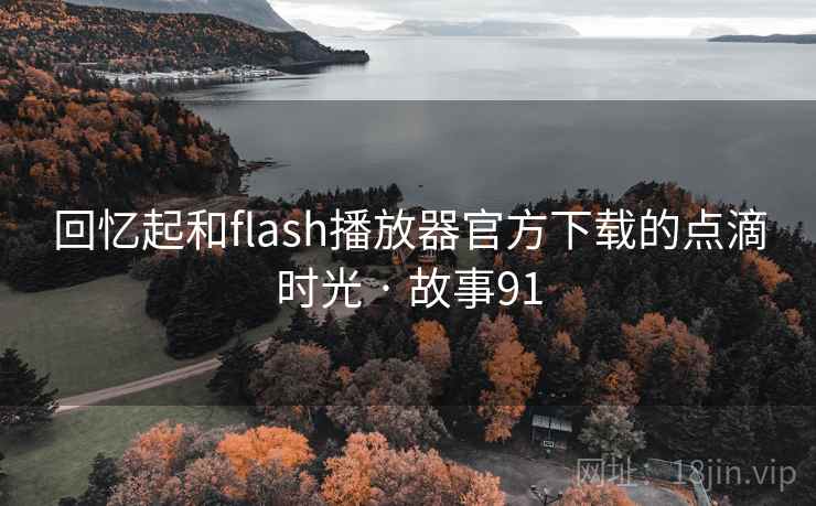 回忆起和flash播放器官方下载的点滴时光 · 故事91  第1张